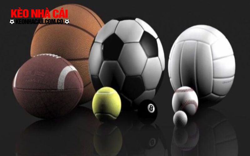 keonhacai 4 Giới thiệu vài nét về kênh tổng hợp thông tin Vsthethao