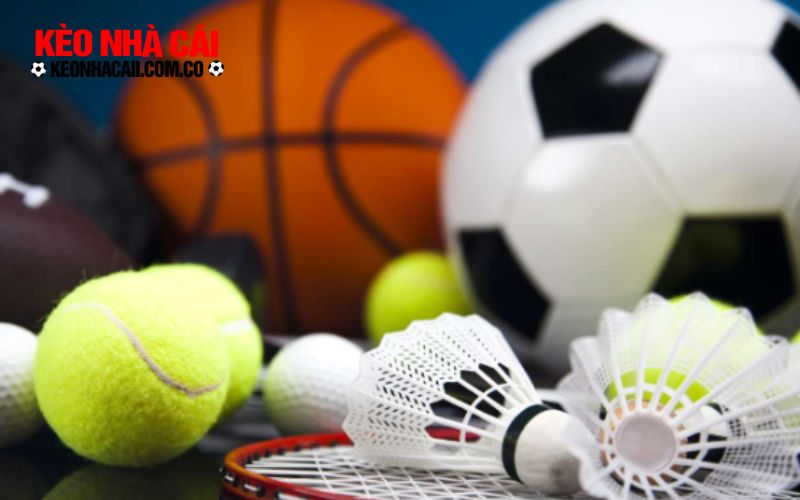 keonhacai 6 Lý do anh em bet thủ nên theo dõi Vsthethao mỗi ngày