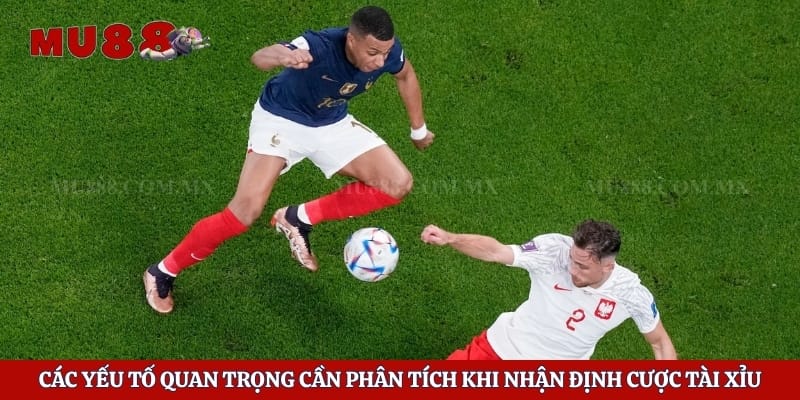 Các yếu tố quan trọng cần phân tích khi nhận định cược tài xỉu