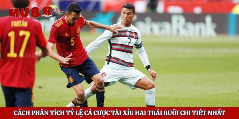 Cách phân tích tỷ lệ cá cược tài xỉu hai trái rưỡi chi tiết nhất