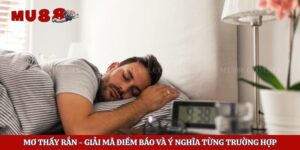 Mơ Thấy Rắn - Giải Mã Điềm Báo Và Ý Nghĩa Từng Trường Hợp