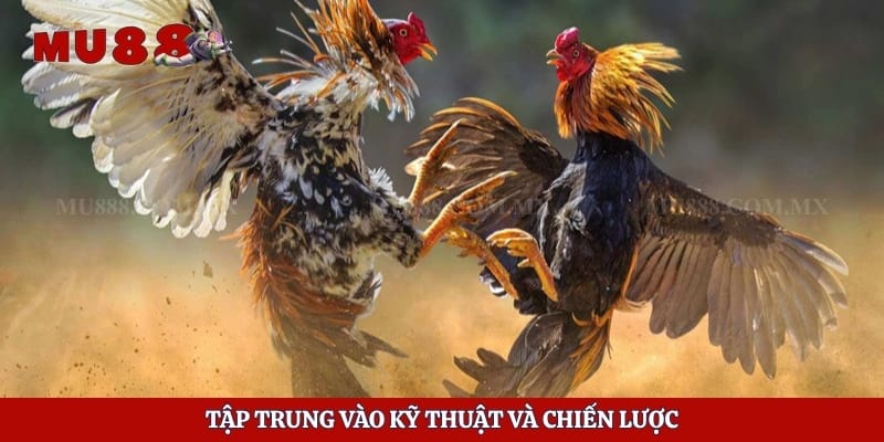 Tập trung vào kỹ thuật và chiến lược
