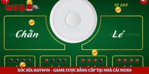 Xóc Đĩa Haywin – Game Cược Đẳng Cấp Tại Nhà Cái Mu88